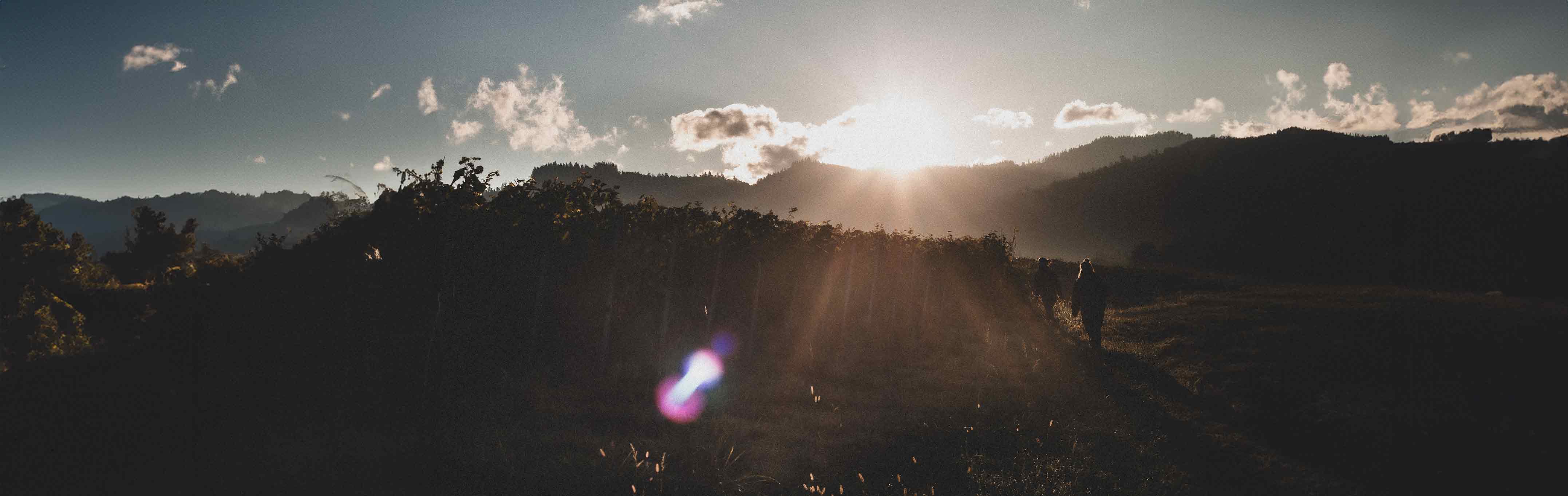 Weinberge im Markgräflerland bei Sonnenuntergang, sanfte Hügel und goldenes Licht über den Reben.